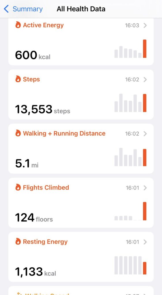 Health app data showing 600 calories burned, 13553 steps and 124 flights climbed during roof terrace landscaping work
