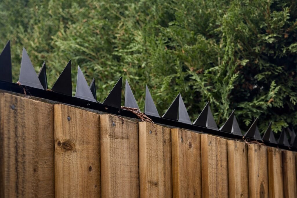 Fox Free Garden: Can Anti-Climb Spikes Keep Foxes Out?